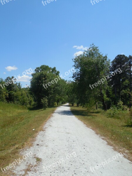 Walking Path Hike Hiking Walking Path