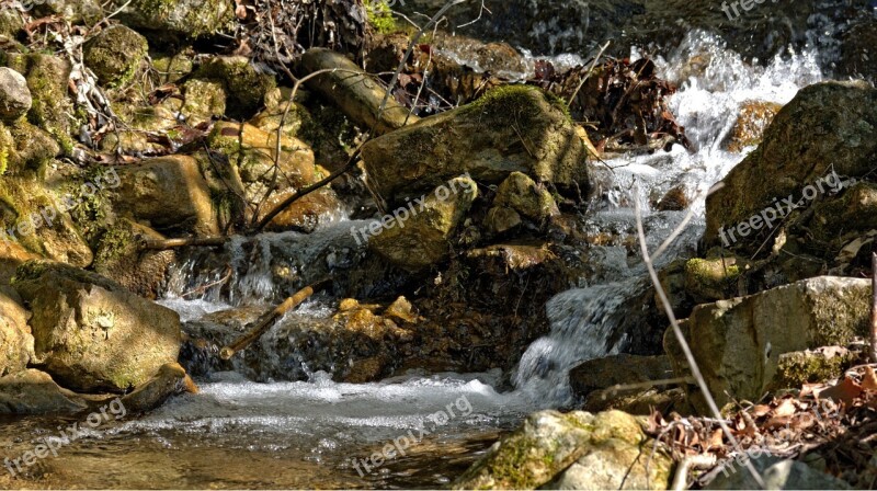 Creek Nature Water Bach Stones