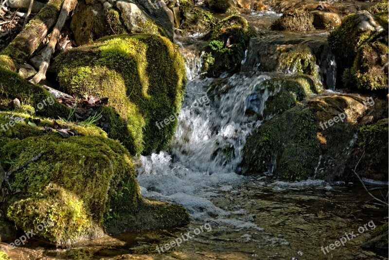 Creek Nature Water Bach Stones