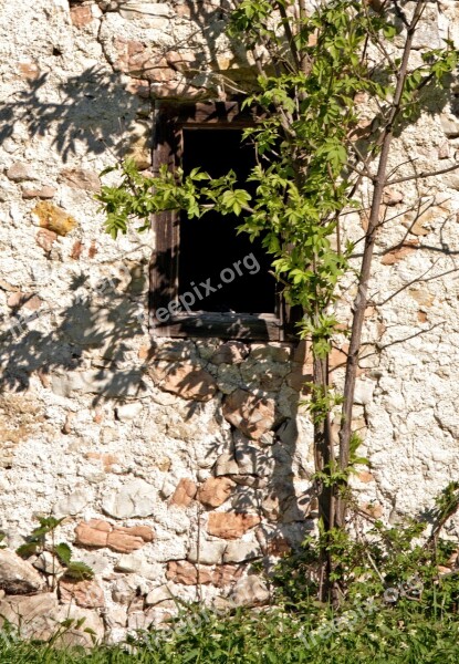 Window Old Historically Architecture Hauswand