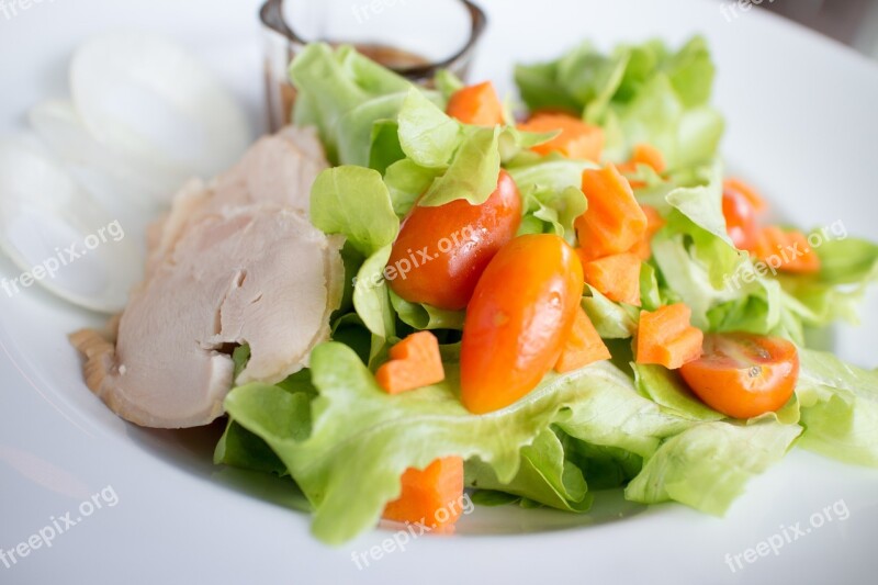 Salad Vegetable Chicken Food Foodstuff