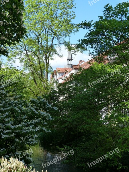 Spring City Detmold Romance Trees