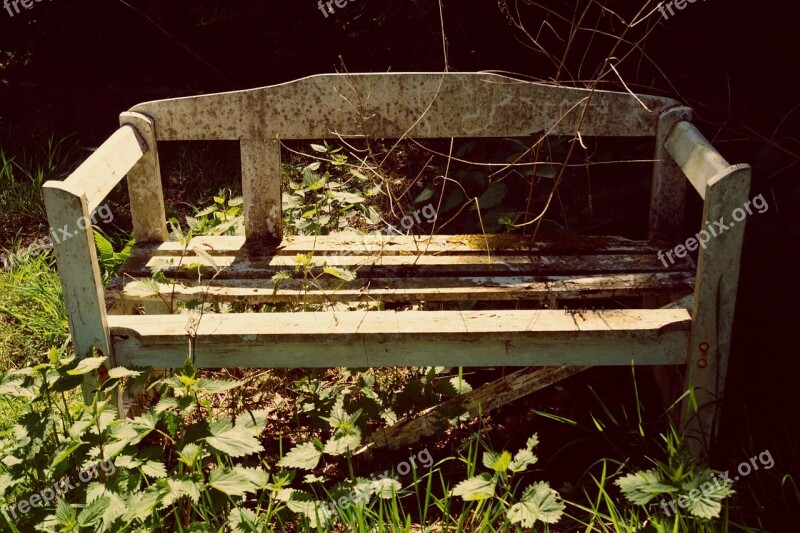 Bank Bench Wooden Bench Seat Decay