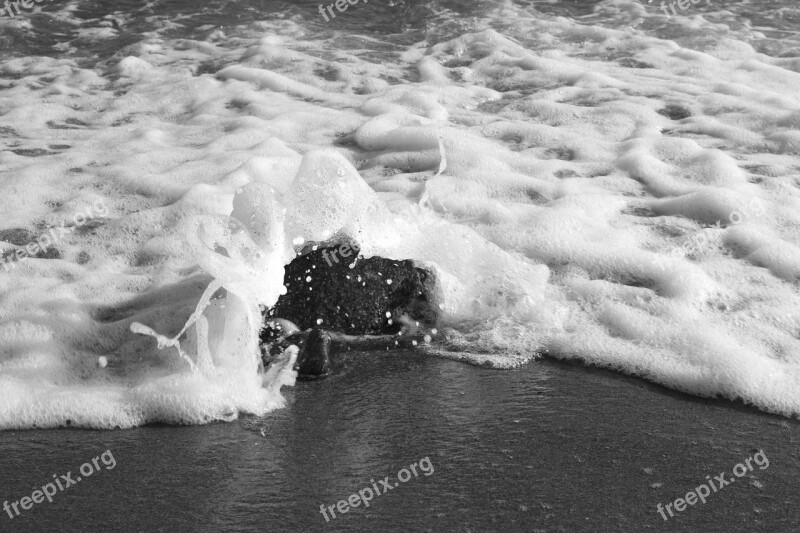 Wave Sea Beach Water Foam