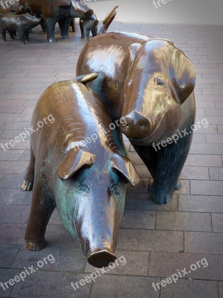 Sculpture Pigs Bronze Art Free Photos