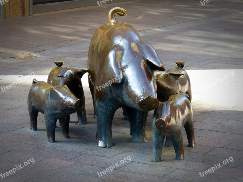 Sculpture Pigs Piglet Bronze Art