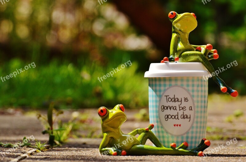 Beautiful Day Joy Frog Coffee Cup