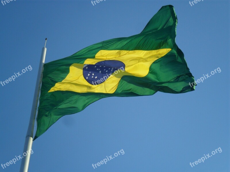 Brazil Flag Green And Yellow Independence Day Free Photos