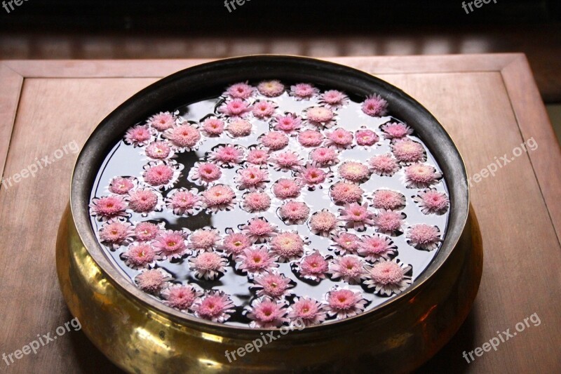 Pink Flowers Bowl Water Reflection