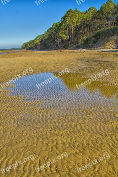 Beach Low Tide Sand Landscape Nature