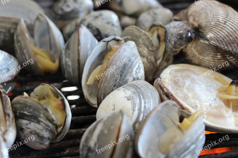 Clam Seafood Cooking Grilled Food