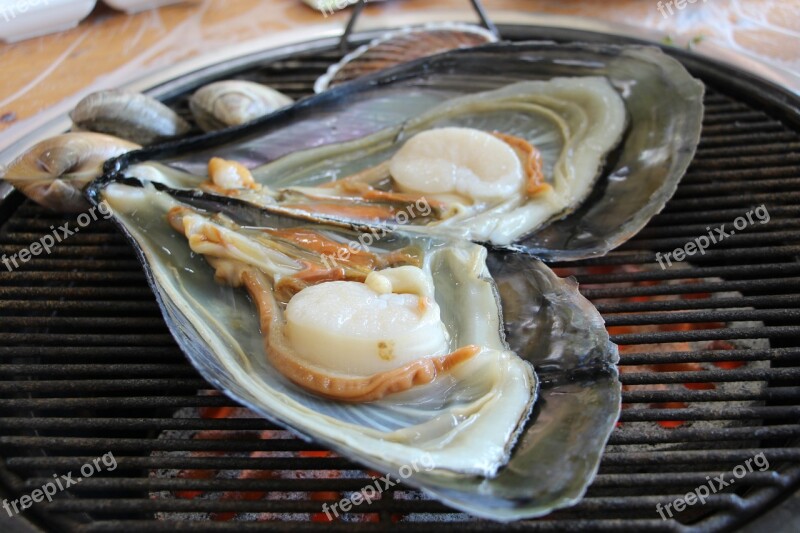 Clam Grilled Shellfish Seafood Grilled Cooking