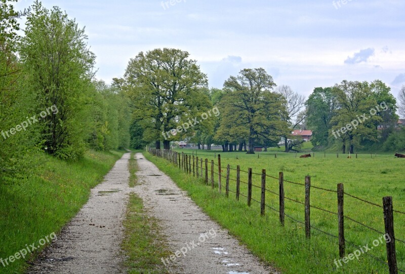 Leisure Recovery Hiking Pasture Fence Lane