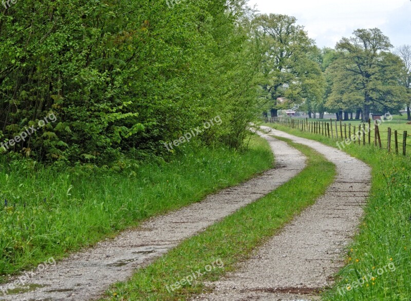 Pasture Fence Lane Road Away Nature