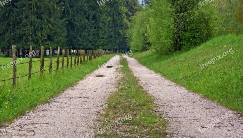 Pasture Fence Lane Road Away Nature