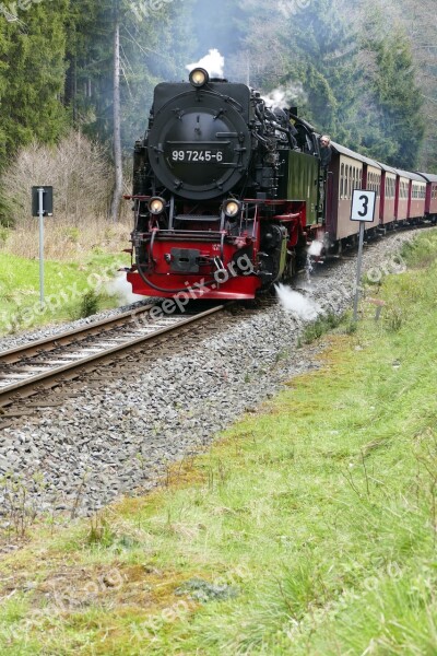 Harzquerbahn Railway Narrow Gauge Forest Nature