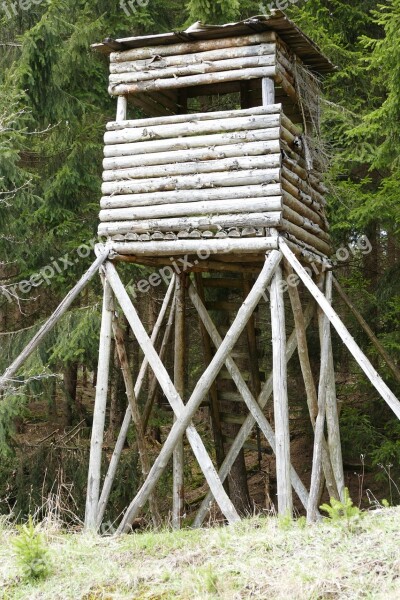 Perch Hunter Was Forest Hunting Nature