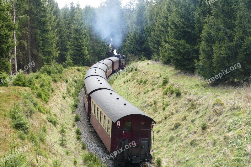 Harzquerbahn Railway Narrow Gauge Forest Nature