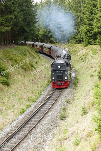 Harzquerbahn Railway Narrow Gauge Forest Nature