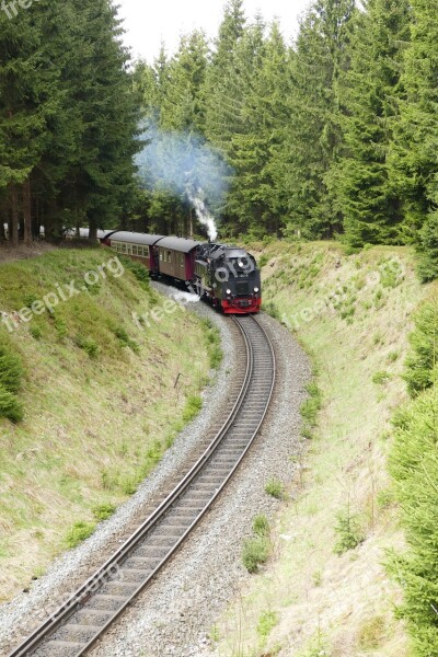 Harzquerbahn Railway Narrow Gauge Forest Nature