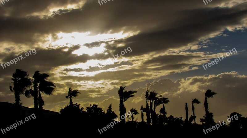 Cyprus Kapparis Afternoon Sunlight Palm Trees