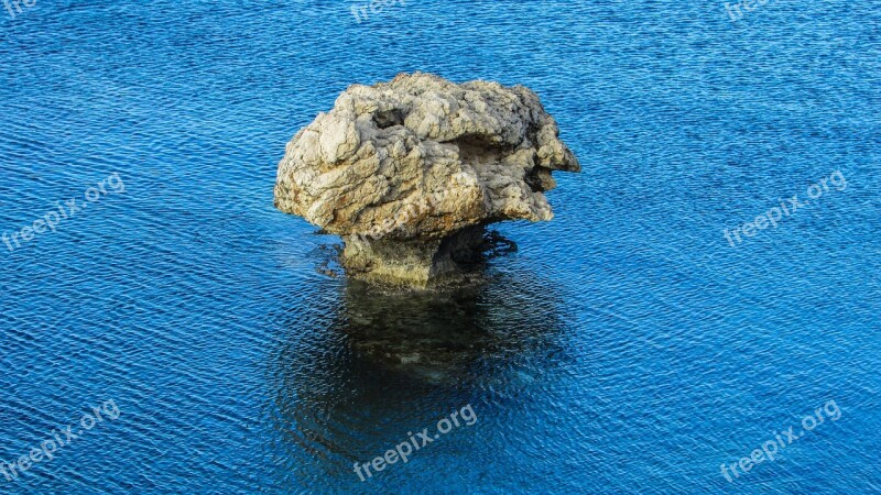 Cyprus Kapparis Rock Sea Mushroom