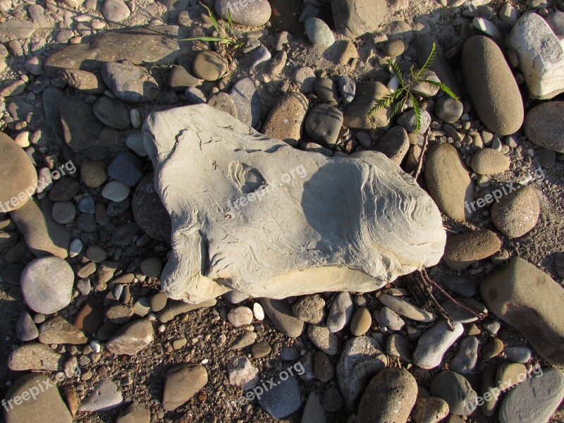 Stone Horse Pebbles Beach Free Photos