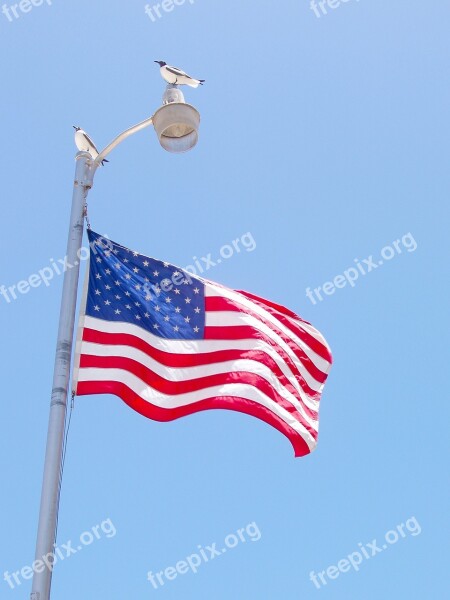 Usa Flag American National Wind