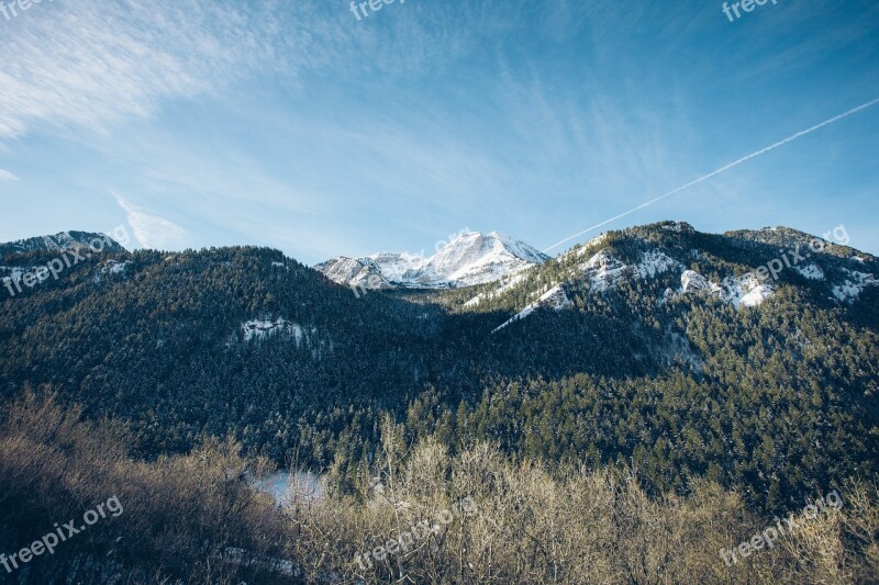 Forest Nature Environment Clear Forest Landscape