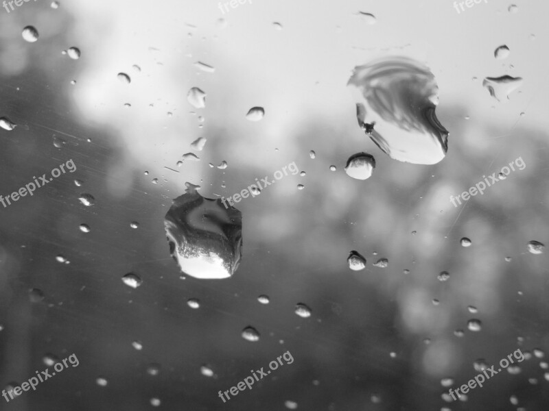 Rain Water Glass Drops Windshield