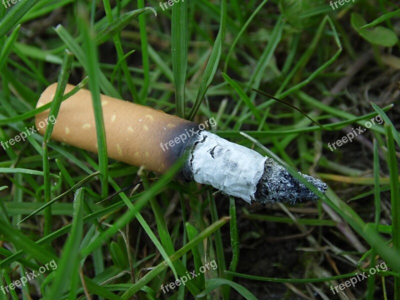 Cigarette Nature Contrast Pollution Powerful