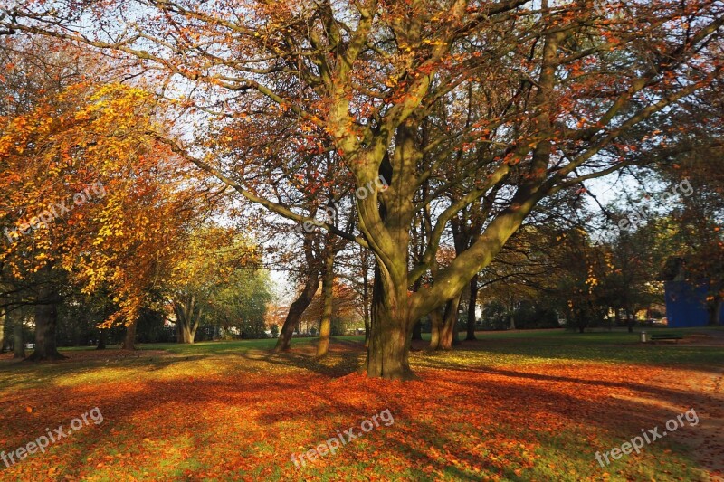 Park Autumn Leaves Castle Park Husum