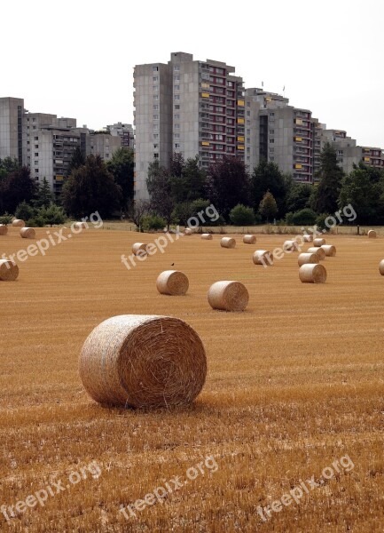 Bern Switzerland Straw Bales Straw Switzerland Agriculture