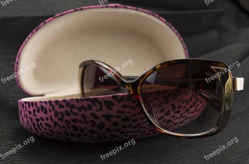 Eyewear Solar Pink Glasses Container Design Product