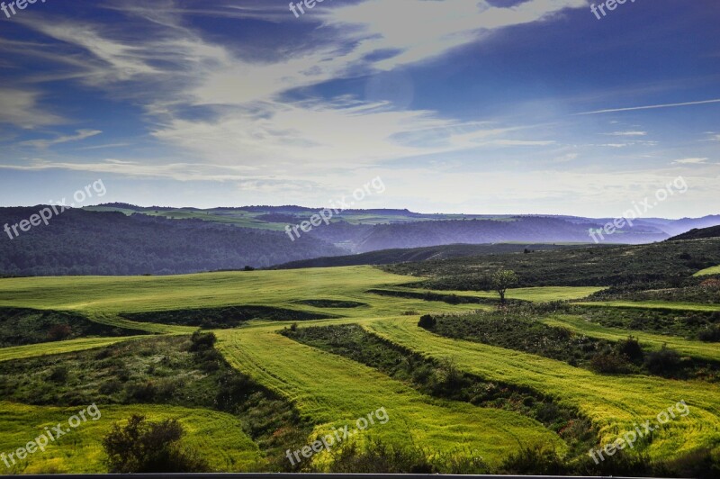 Fields Lleida Plantations Free Photos