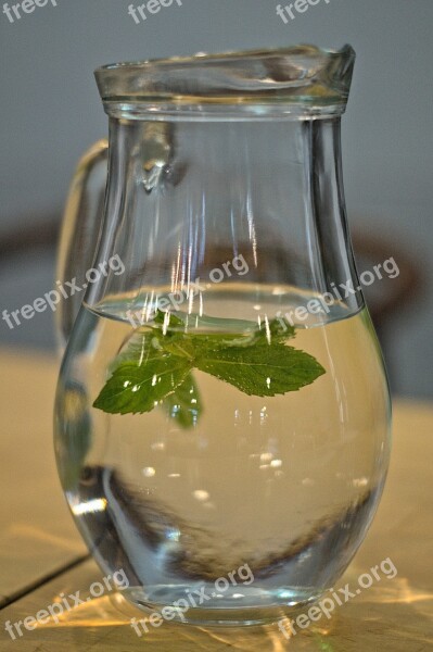 Mug Water Mint Drink Glass