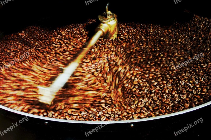 Coffee Beans Coffee Costa Rica Harvest Drink