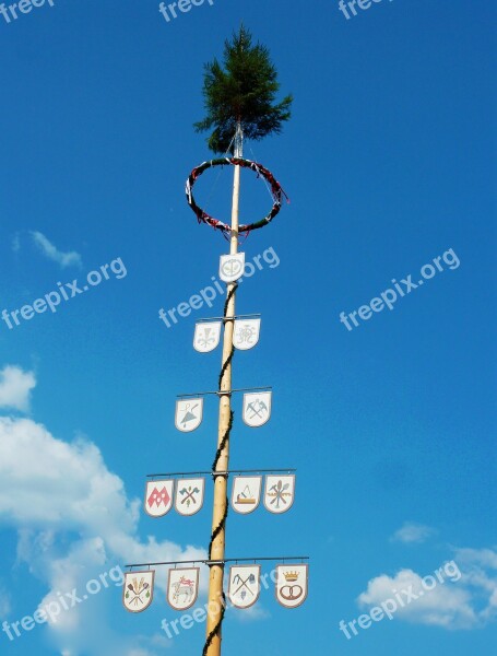 Maypole Tree Bavaria Birch Custom