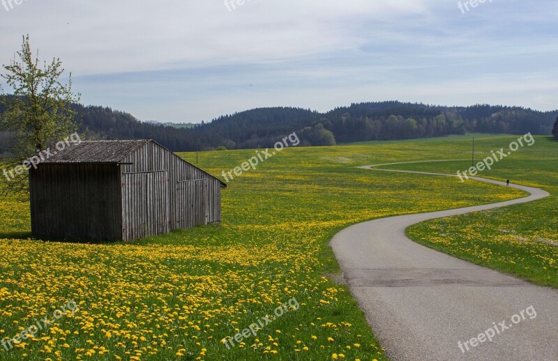 Landscape Flower Meadow Scale Away Meadow