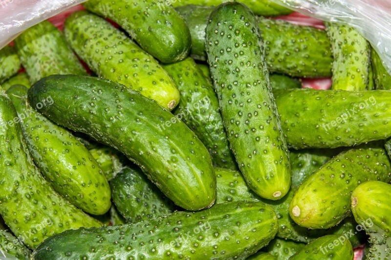 Cucumbers Food Healthy Vegetables Eating