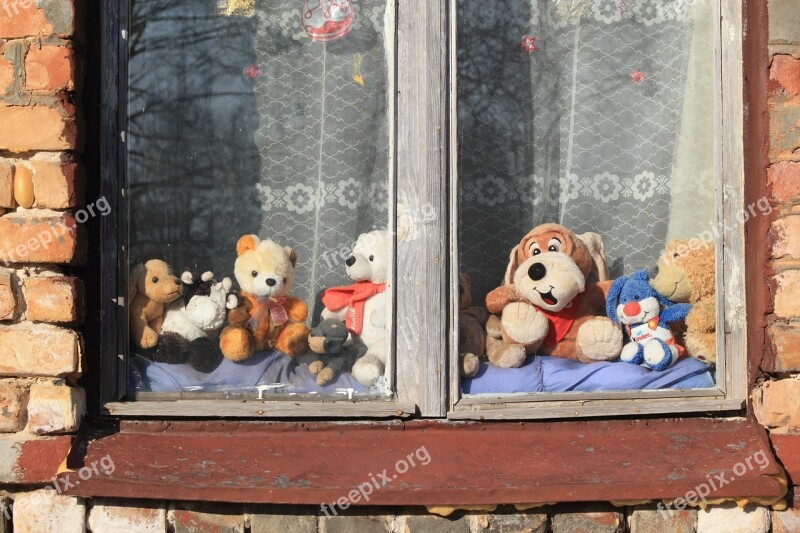 Window Toys Animals Riga Latvia