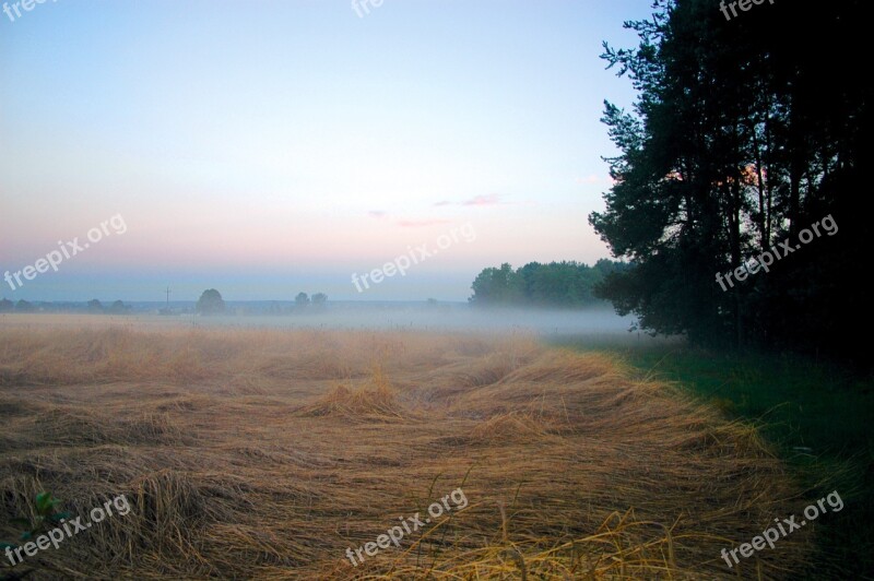 The Fog Field Meadow Landscape View