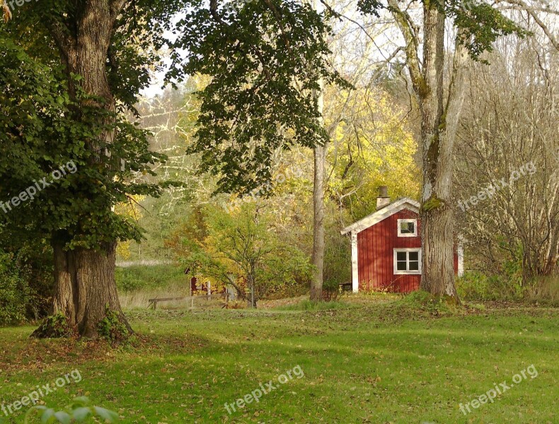 Autumn Red Cottage Lawn Green Tree Trunk