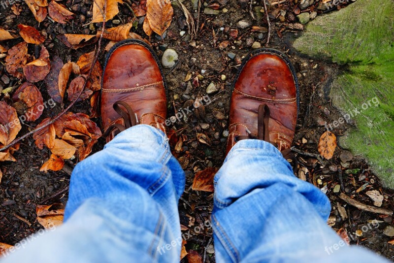 Shoes Brown Leaves Leather Leather Shoe