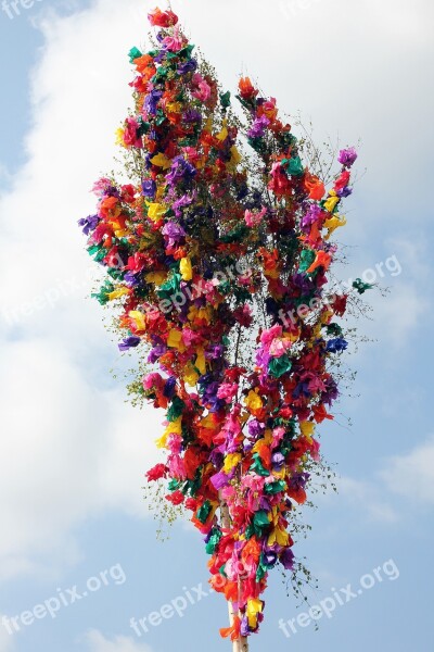 Maypole Tradition May Spring Customs