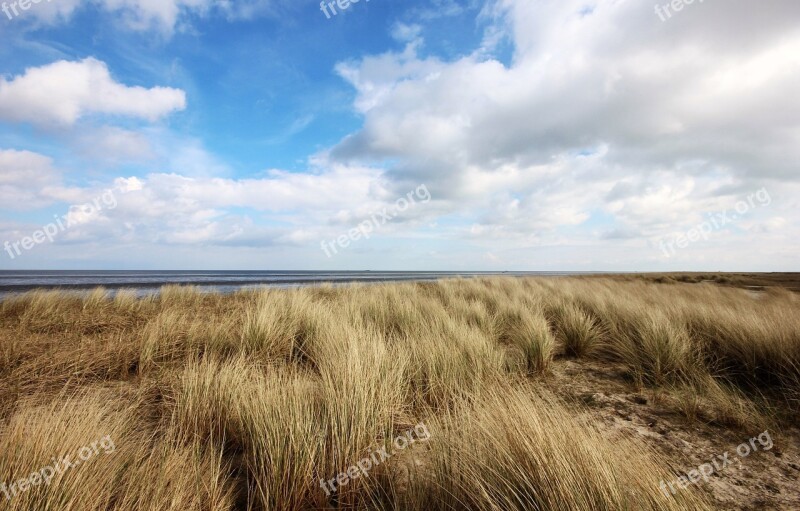 North Sea Clouds Wind Sea Beach