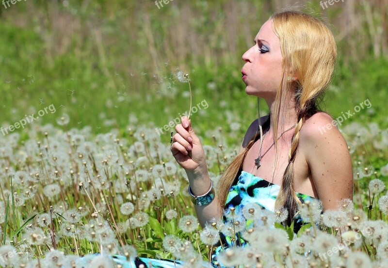 Blonde Girl Field Blow Nice Dandelion