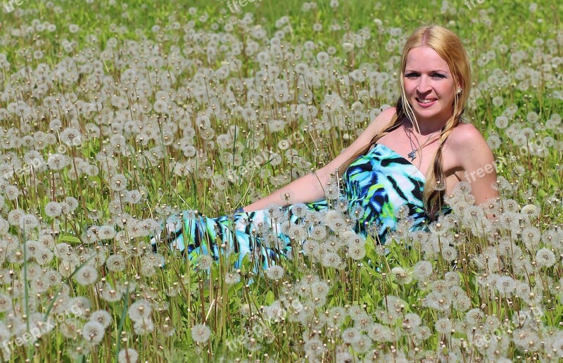 Blonde Woman Dandelion Field Lie Free Photos