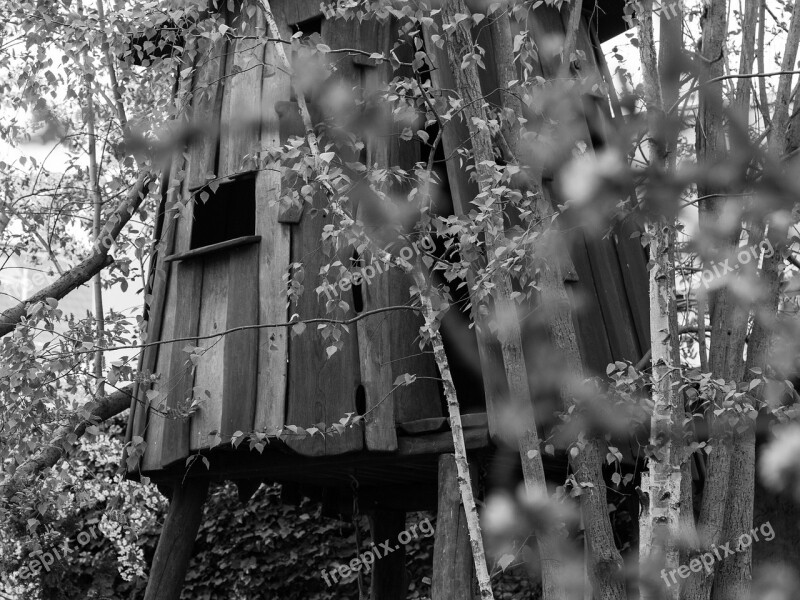 Treehouse Nature Play Wood Tree