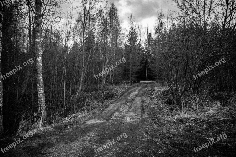 Dark Country Road Black And White Bw Country Dark